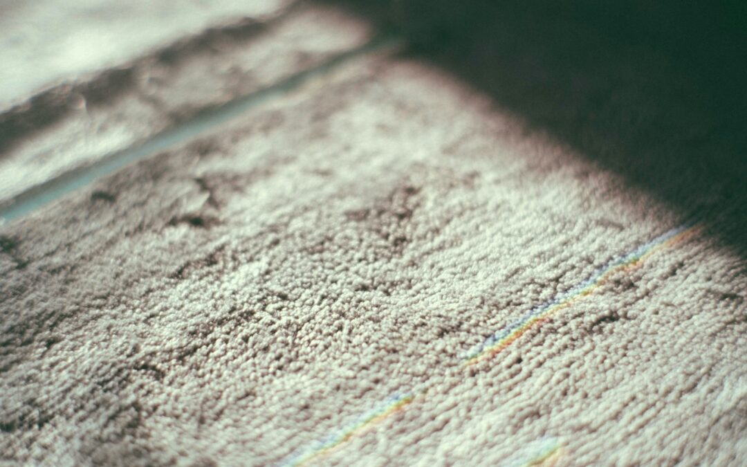 Signs You Need a New Carpet: When To Replace Your Old Carpet