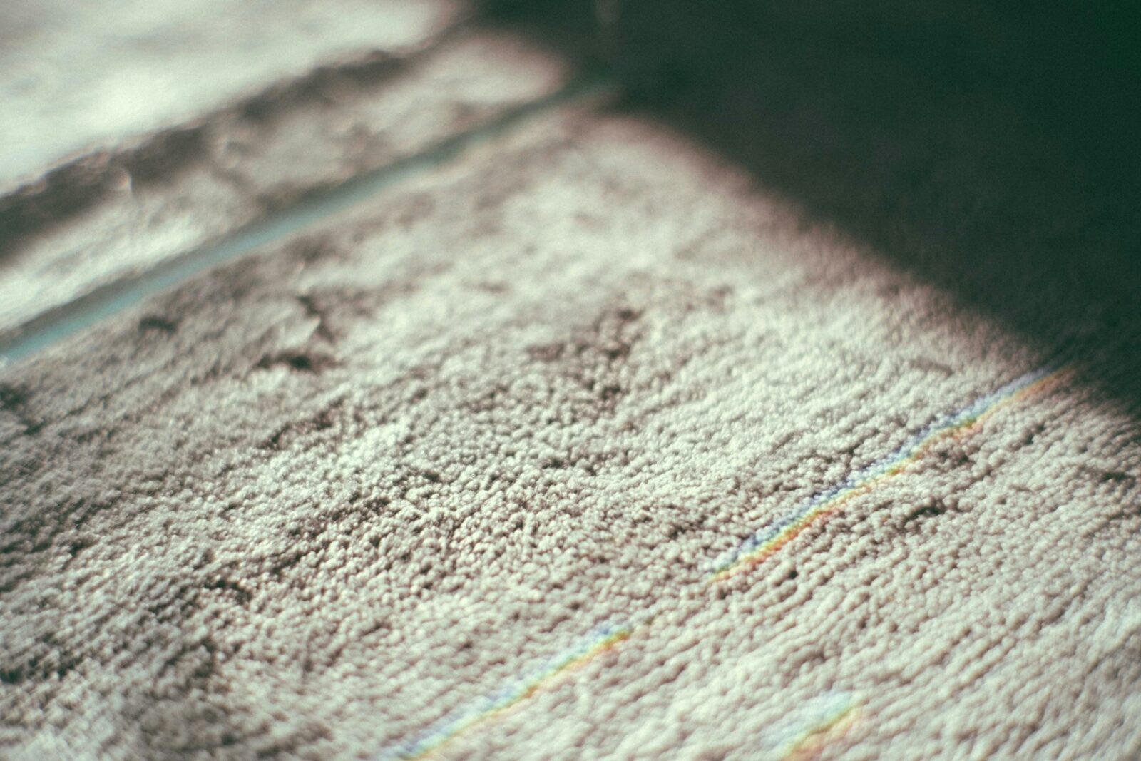 Signs You Need a New Carpet